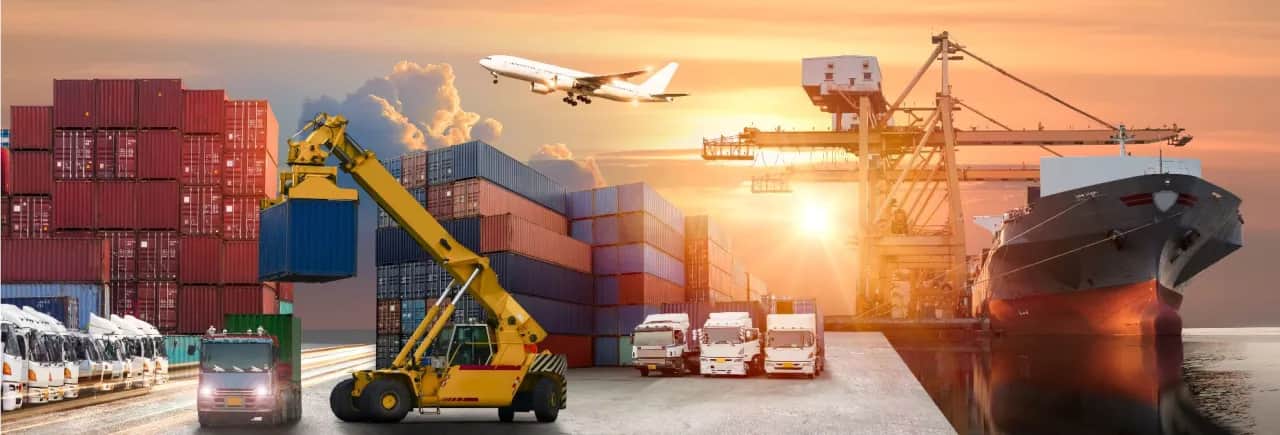 Logistyka co po studiach: Jak uniknąć pułapek na rynku pracy?