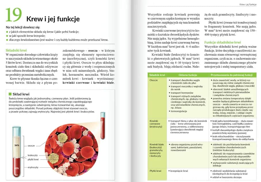 Jak szybko nauczyć się biologii: skuteczne metody na szybkie przyswajanie wiedzy