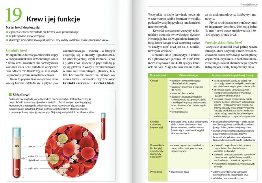 Jak szybko nauczyć się biologii: skuteczne metody na szybkie przyswajanie wiedzy