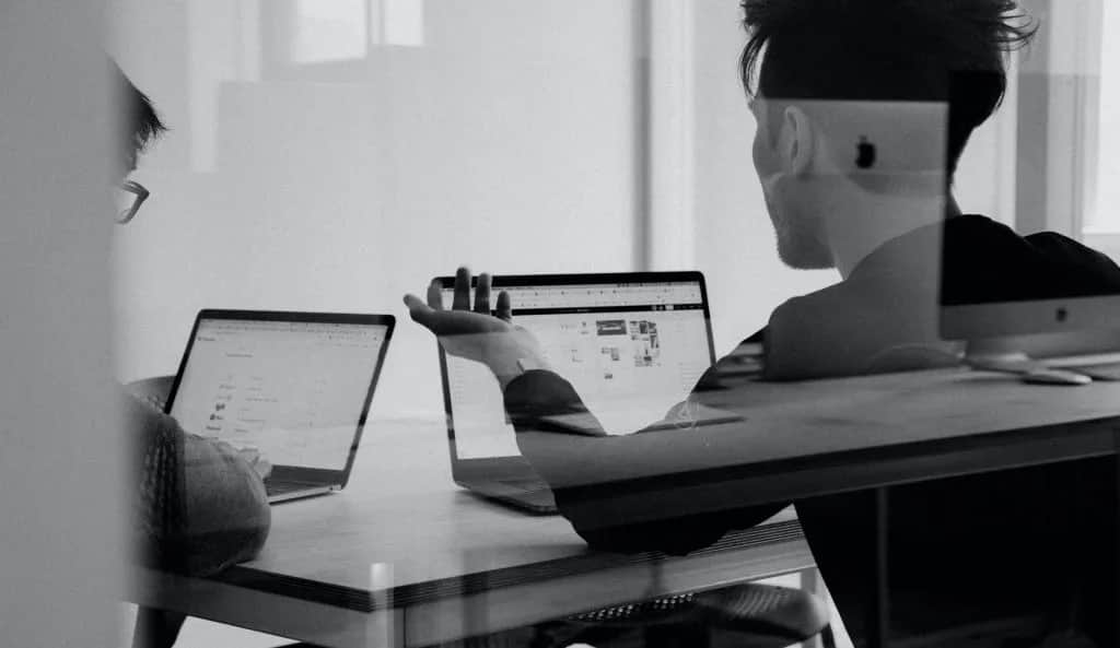 Administracja co po studiach: sprawdź, jakie masz możliwości zawodowe