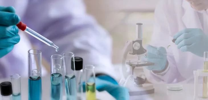 Jakie studia po rozszerzonej biologii? Odkryj najlepsze kierunki edukacyjne