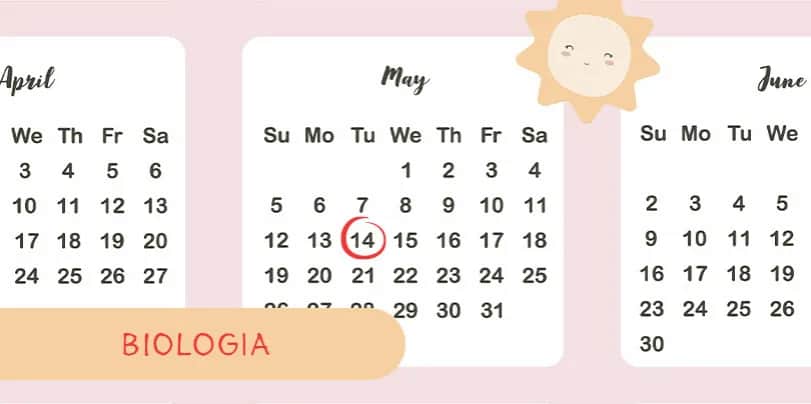 Jak zdać maturę z biologii: sprawdzone metody na sukces i unikanie błędów