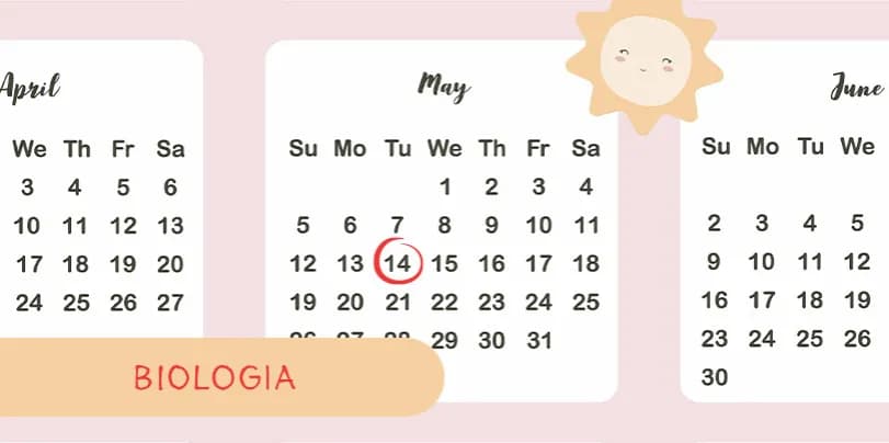 Jak zdać maturę z biologii: sprawdzone metody na sukces i unikanie błędów