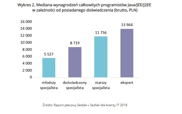 Ile zarabia informatyk po studiach? Zaskakujące fakty o wynagrodzeniach