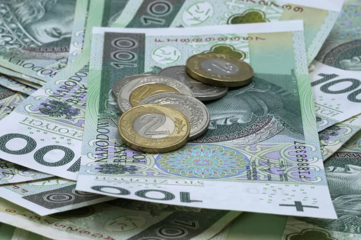 Ile zarabia się po studiach ekonomicznych? Zaskakujące różnice wynagrodzeń