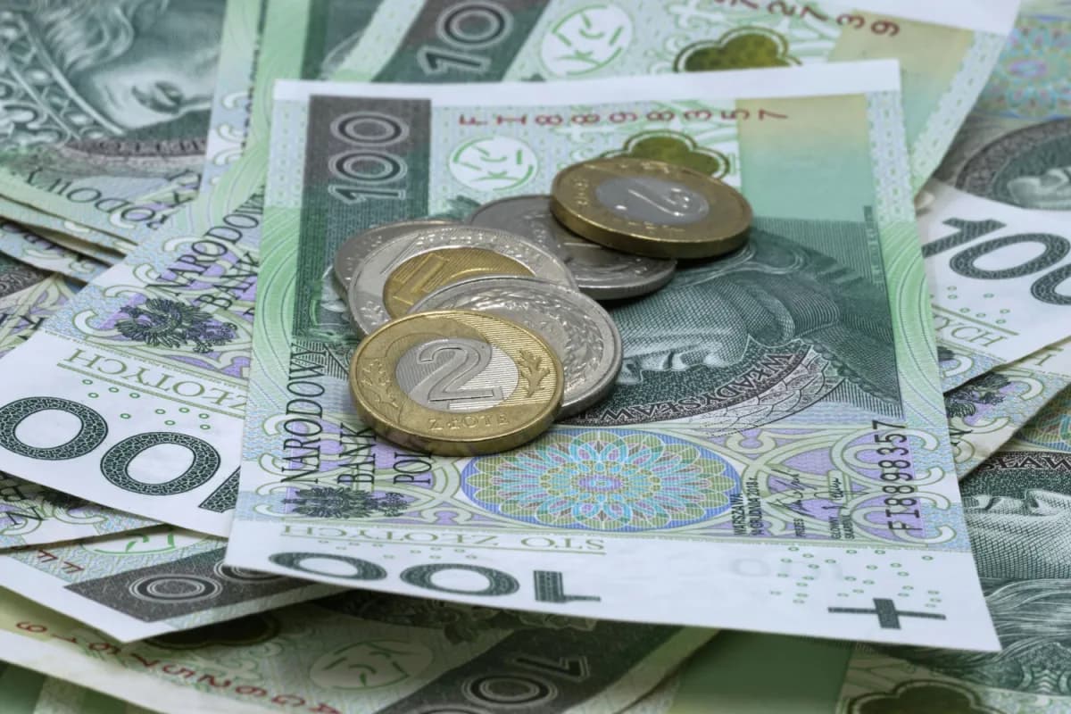 Ile zarabia się po studiach ekonomicznych? Zaskakujące różnice wynagrodzeń