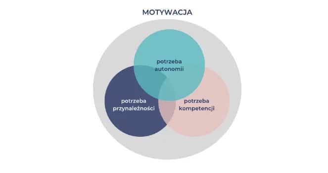 Motywacje czy motywację - jak poprawnie używać w zdaniach?