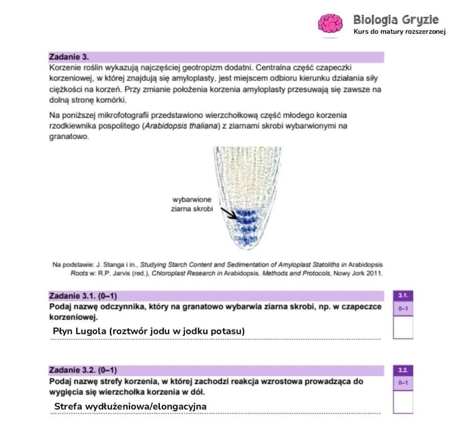 Ile punktów na maturze z biologii? Odkryj, jak je zdobyć!