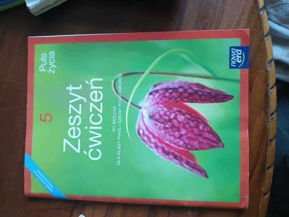 Gdzie wypożyczyć podręczniki do biologii 5 klasy i zaoszczędzić?
